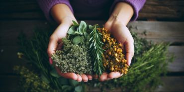 PLANTES, TISANES ET PROBIOTIQUES : QUELS REMEDES NATURELS POUR UNE DIGESTION APAISEE ?