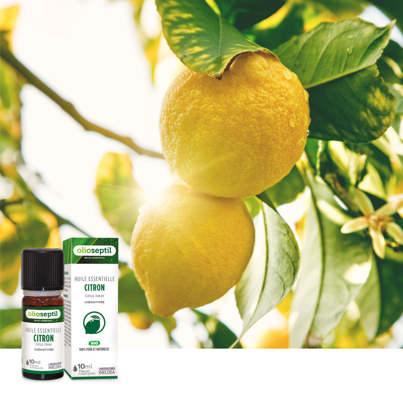 Citron Jaune 10ml - Huile essentielle biologique 